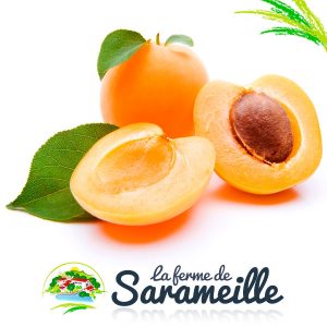 Abricots | La ferme de Sarameille Peaugres, Davézieux, Annonay Ardèche Rhône-Alpes