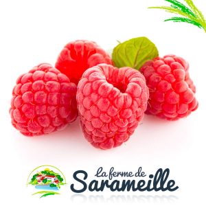 Framboises | La ferme de Sarameille Peaugres, Davézieux, Annonay Ardèche Rhône-Alpes