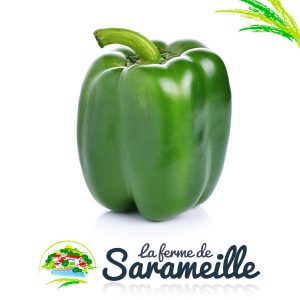 Poivrons verts Producteur | La ferme de Sarameille Peaugres, Davézieux, Annonay Ardèche Rhône-Alpes