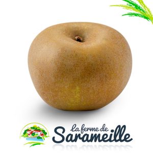 Pommes Reinette Producteur | La ferme de Sarameille Peaugres, Davézieux, Annonay Ardèche Rhône-Alpes