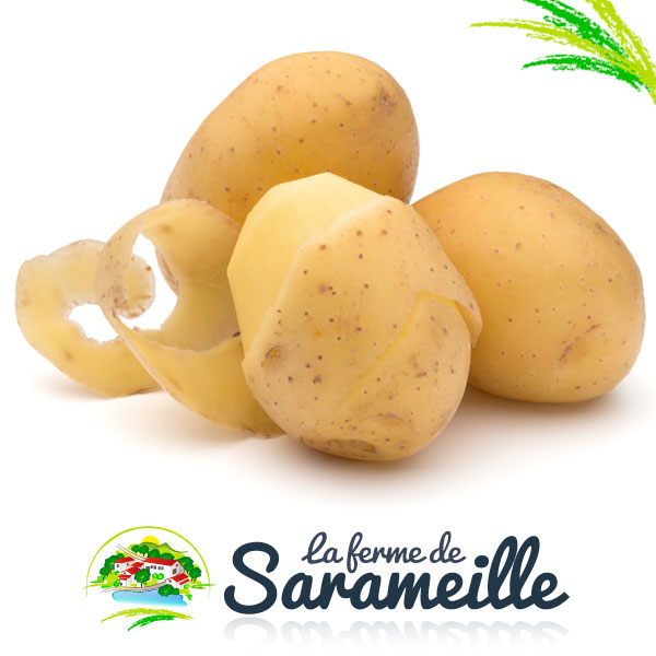 Pommes de terre Delicatess Producteur | La ferme de Sarameille Peaugres, Davézieux, Annonay Ardèche Rhône-Alpes