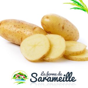 Pommes de terre Producteur | La ferme de Sarameille Peaugres, Davézieux, Annonay Ardèche Rhône-Alpes