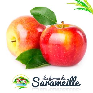 Pommes Jonagold Producteur | La ferme de Sarameille Peaugres, Davézieux, Annonay Ardèche Rhône-Alpes