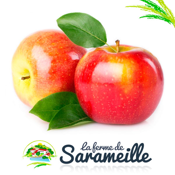 Pommes Jonagold Producteur | La ferme de Sarameille Peaugres, Davézieux, Annonay Ardèche Rhône-Alpes