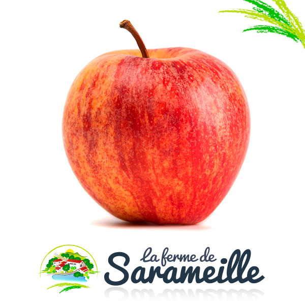 Pommes Royal Gala Producteur | La ferme de Sarameille Peaugres, Davézieux, Annonay Ardèche Rhône-Alpes
