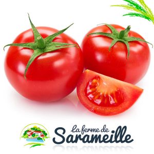 Tomates Producteur | La ferme de Sarameille Peaugres, Davézieux, Annonay Ardèche Rhône-Alpes